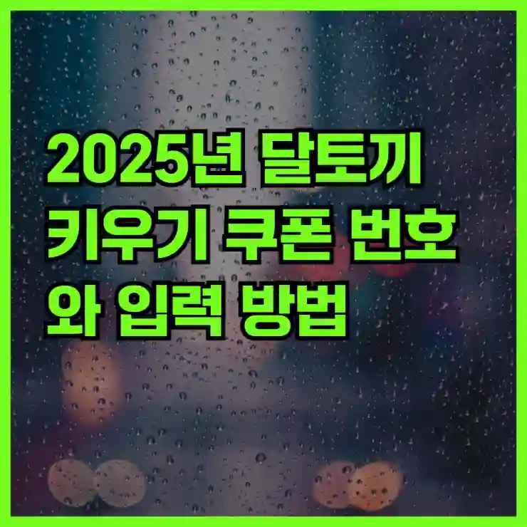 2025년 달토끼 키우기 쿠폰 번호와 입력 방법
