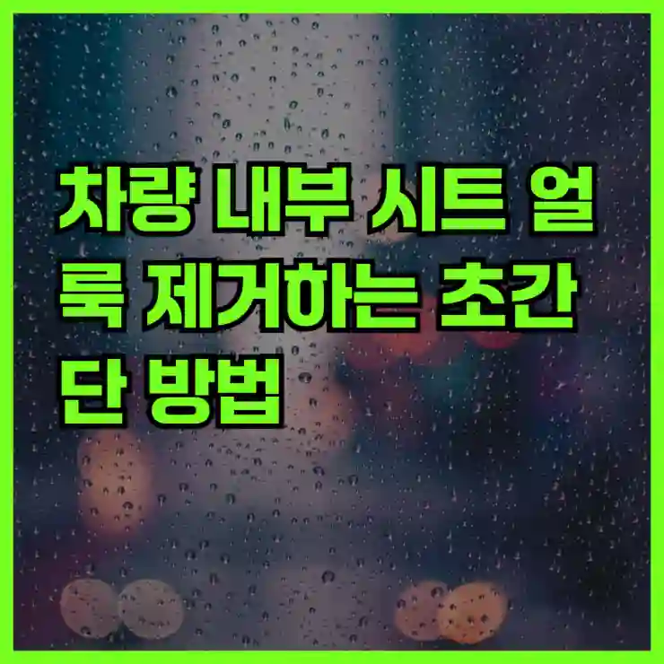 차량 내부 시트 얼룩 제거하는 초간단 방법