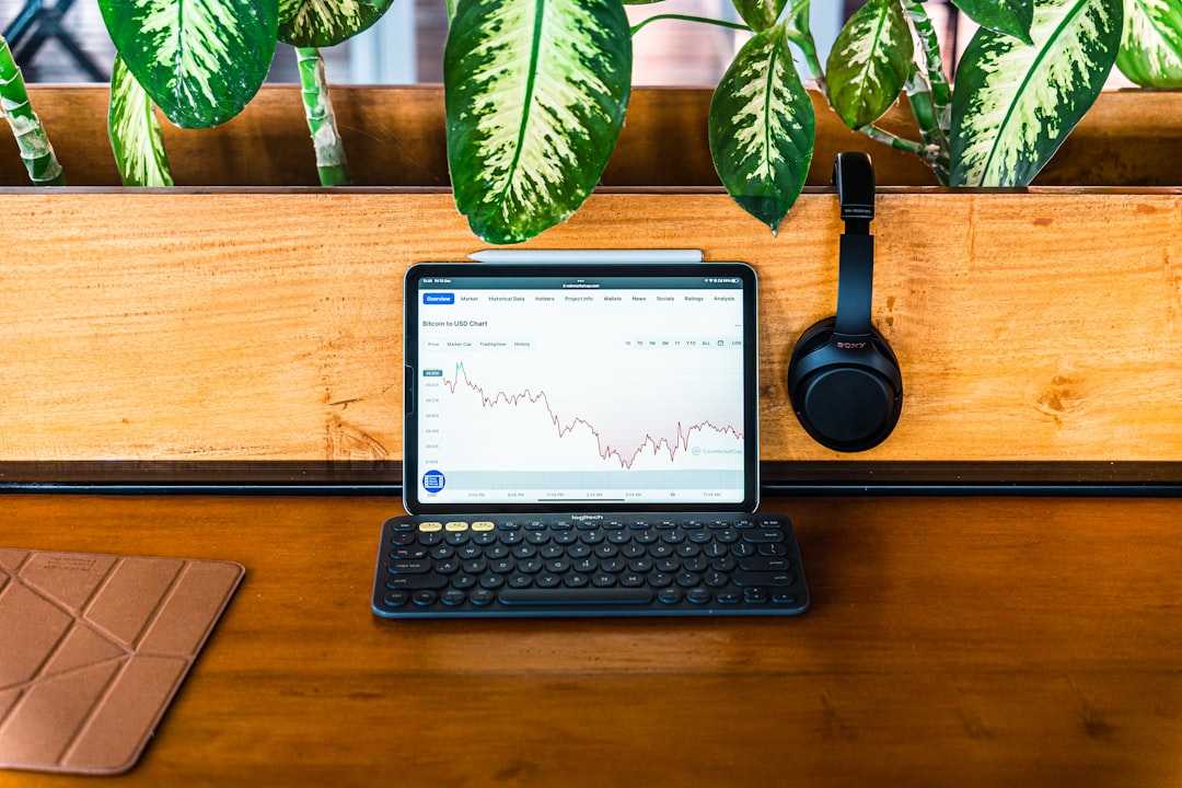 세금 효율적인 배당주 투자, IRA와 Roth IRA 활용법 1