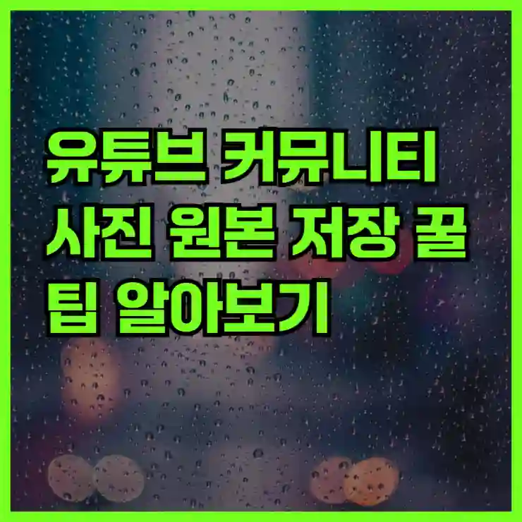 유튜브 커뮤니티 사진 원본 저장 꿀팁 알아보기