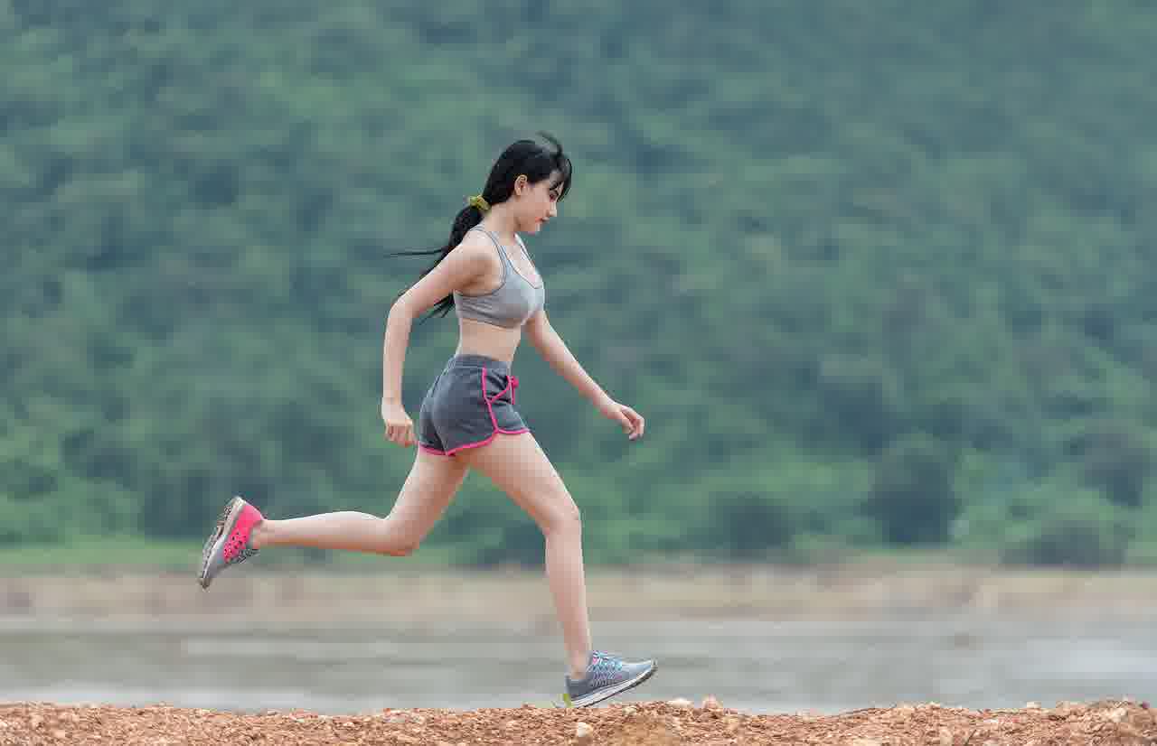의류관리기 스타일러 브랜드별 특징 살펴보기