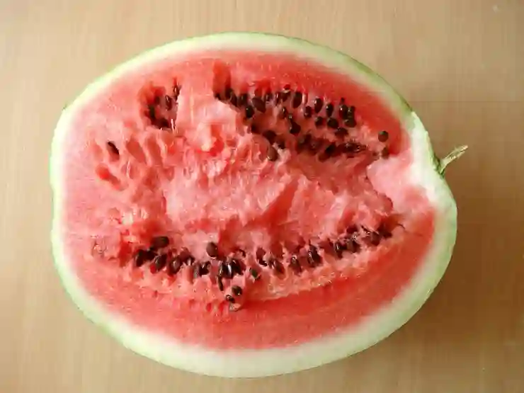애플워치SE3 최근 루머소식 종합 정리