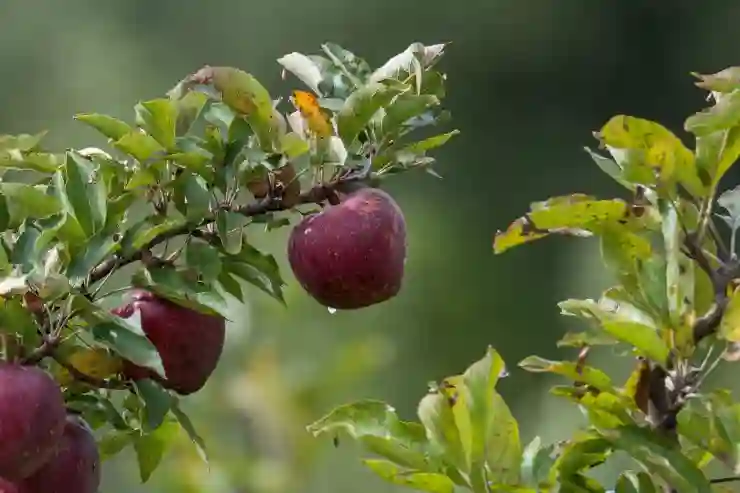 애플 WWDC23에서 공개된 최신 혁신 소식을 한눈에 살펴보기!