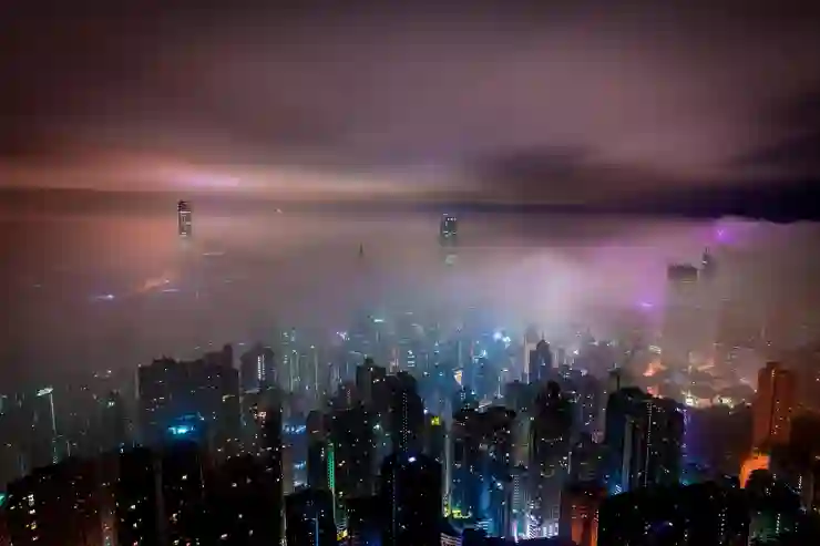 국적회복(복수국적) 신청[외국어번역 행정사/공인중개사/법원경매]