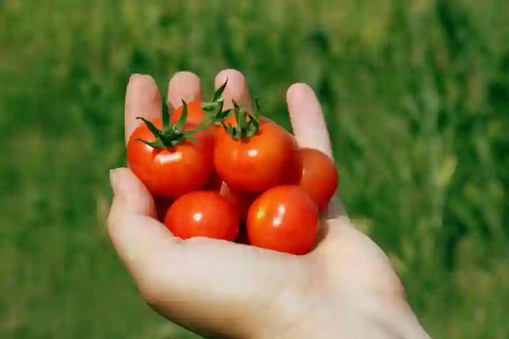 셀카로 진행하는 간편한 방송 유튜브 휴대용 촬영조명을 찾는다면?