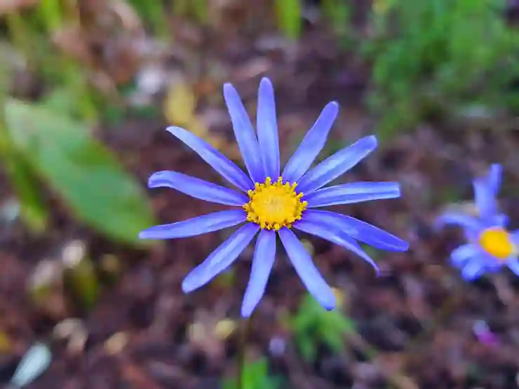가성비 스마트폰 갤럭시 점프2 스펙과 성능 살펴보기