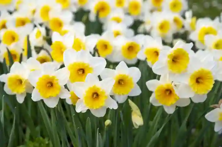갤럭시핏3 기능 및 주요 스펙 살펴보기