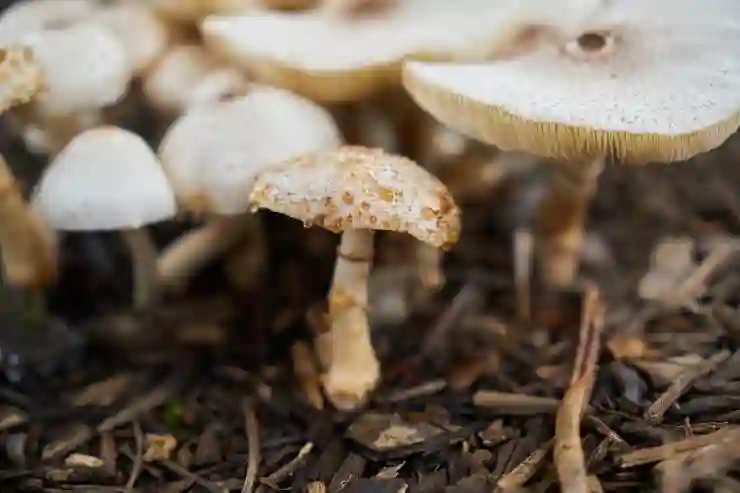 사무용키보드 게이밍도 겸할 수 있는 에포메이커 EK98