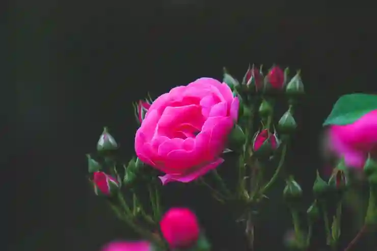 외국인 근로자의 체납과 실업급여 문제[외국어번역 행정사/공인중개사/법원경매/미국 세무사]