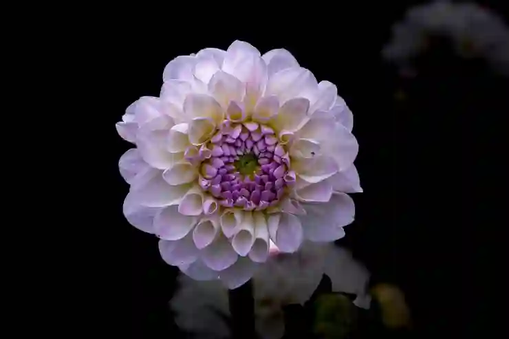 외국기업의 국내지사 설립[외국어번역 행정사/공인중개사/법원경매/미국세무사]