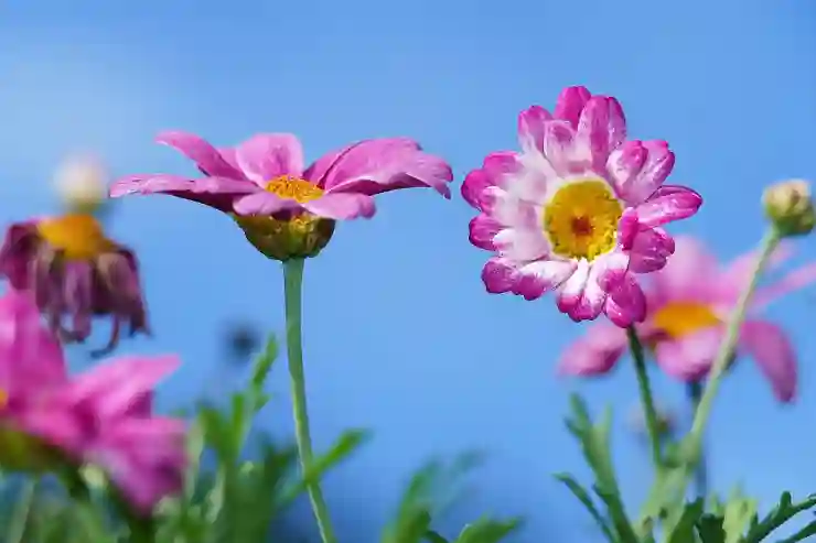 아포스티유와 영사확인, 외국어 번역의 모든 것 알아보기
