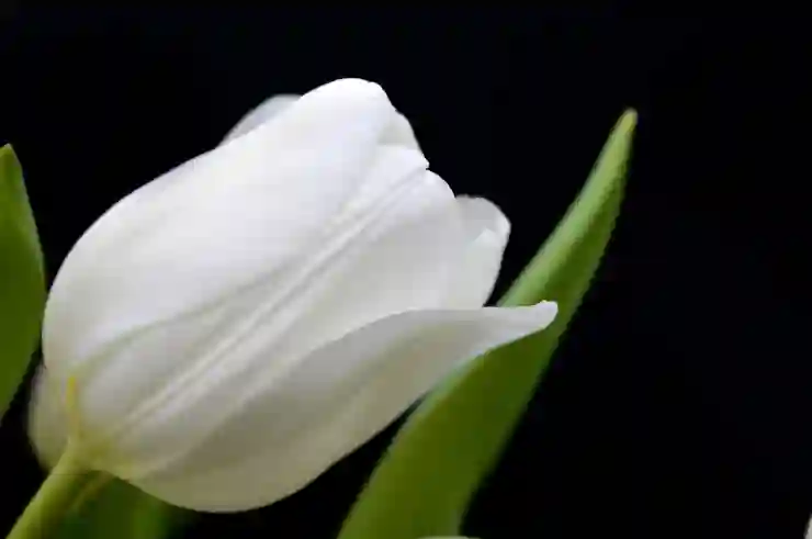 상속과 증여세, 빌딩과 토지 시가로 알아보는 스마트한 절세 전략