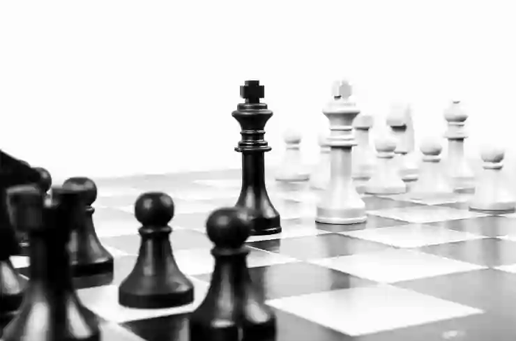 대구삼성라이온즈파크 음식 반입 규정 완벽 가이드