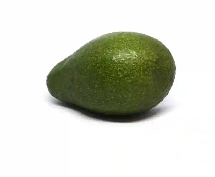 대전한화생명볼파크에서 즐기는 안전한 관람, 주류 반입 규정 완벽 가이드