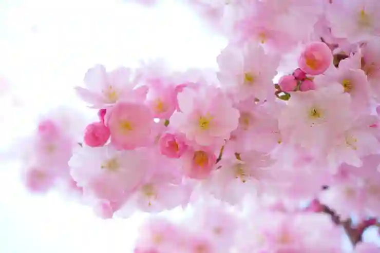 비거주 외국인을 위한 미국 유산세 이해하기