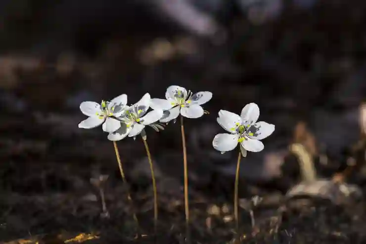 SEC의 역할과 투자자 보호를 위한 주요 정책 살펴보기