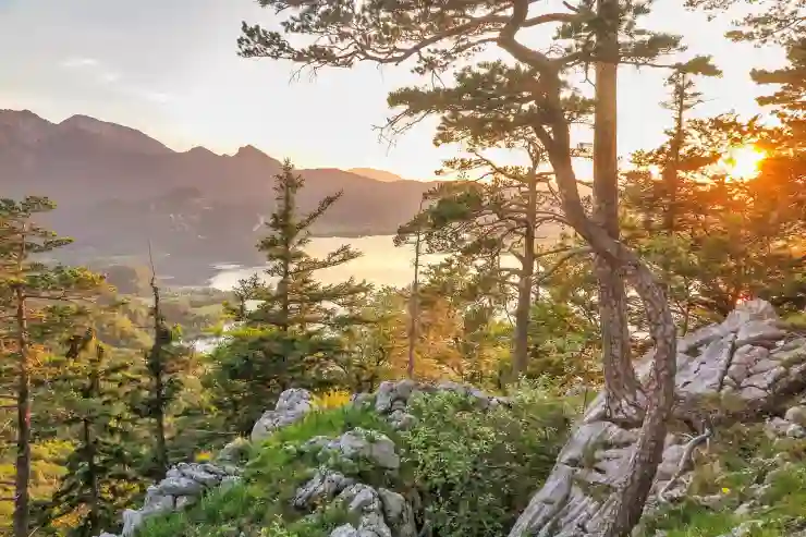 미국 양도소득세의 모든 것 알아보기