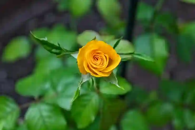 미국과 한국 간 부동산 증여 시 세금 절세 전략 알아보기