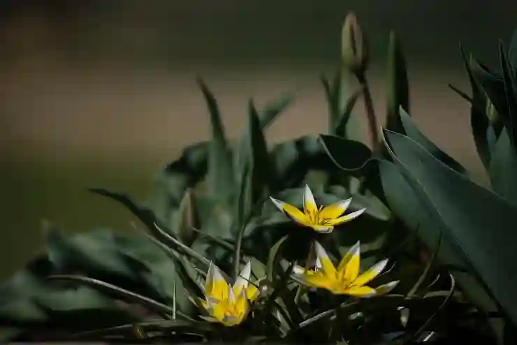 법인 소유 부동산 매각, 세금 절약하는 스마트한 전략 알아보기