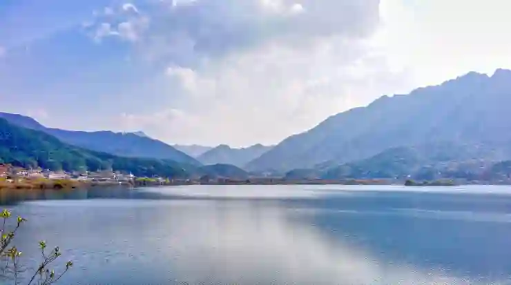 자본소득 이해하기: 미국 세무사에게 배우는 세금의 모든 것