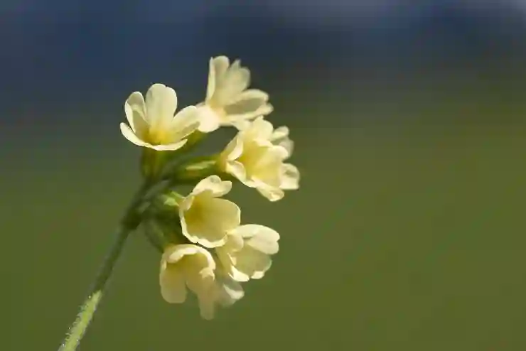 양도소득세 절세를 위한 필요경비 활용법 알아보기
