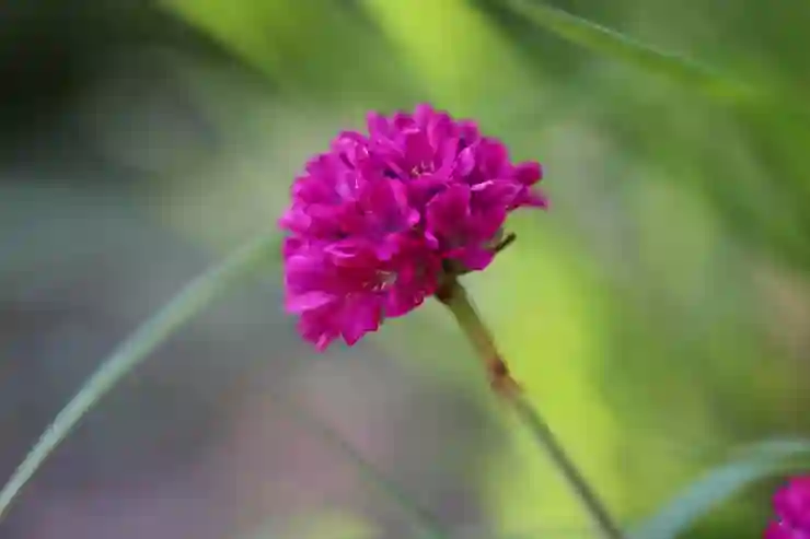 통신비 절약 꿀팁 알뜰폰 요금제 비교