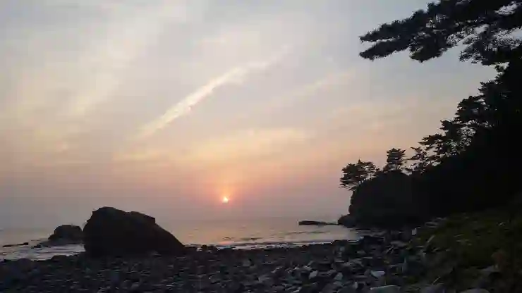 태안 안면도 배시간표