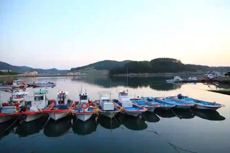 완도 보길도 배편 시간표와 예약