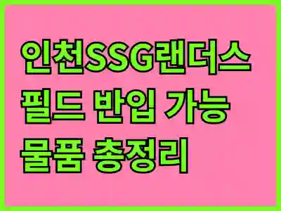 인천SSG랜더스필드 반입 가능 물품 총정리