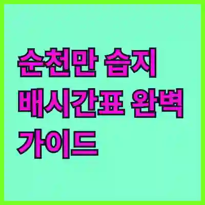 순천만 습지 배시간표 완벽 가이드
