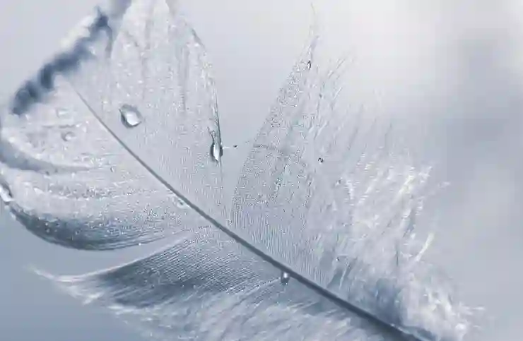 2025년 국민취업지원제도, 변화의 바람을 맞이하다!