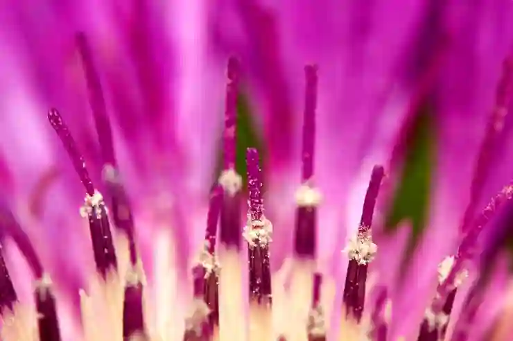 밀크씨슬의 숨겨진 부작용 알아보기
