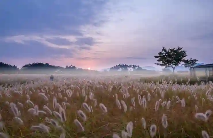 순천만 습지 배시간표 완벽 가이드
