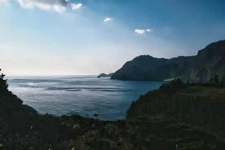 울릉도 독도 배편 예약의 모든 것 알아보기