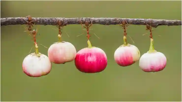 우리 동네의 숨은 지원금, 쉽게 찾는 방법!
