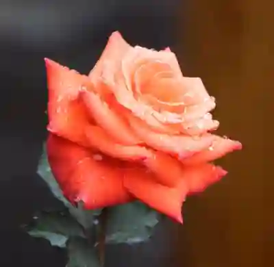 GS CU 편의점 반값택배 가격비교 후 네이버지도로 예약하는 방법 알아보자