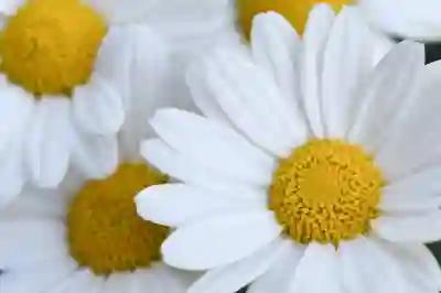 가민 포러너 165와 265 비교 분석으로 최적의 선택하기