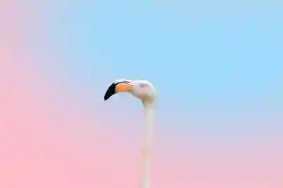 갤럭시S22 색상별 매력 살펴보기