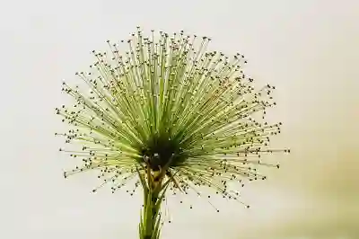 고화질 K팝 데몬헌터 감성으로 갤럭시 핸드폰 배경화면 설정하는 꿀팁