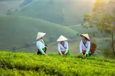 경력단절여성 직업훈련 지원, 취업 성공 후기