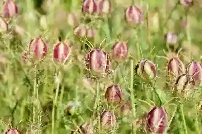 넷플릭스 요금제 할인 종류별 후기와 최신 근황 살펴보기