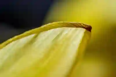 아이폰 손전등 배경화면 설정 꿀팁 알아보자