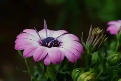 아이폰12 프로 시그니처 색상과 퍼플 추가 일정 알아보자