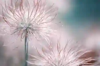 엘지폰 모델 구분과 차이점 알아보자