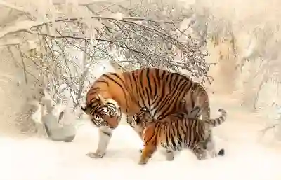 영아수당 부모급여, 중복 지급 가능?