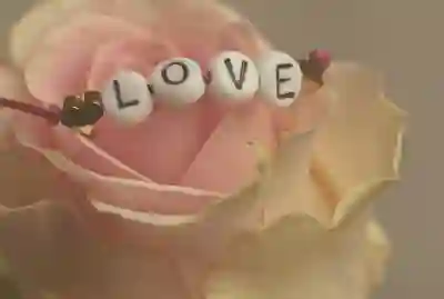 LG 오브제 제습기 선택 가이드와 추천 이유 살펴보기