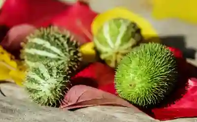 장애인 자동차 구입 지원, 세금 감면 혜택