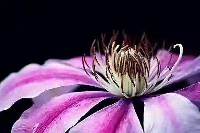 추석 선물로 로보락 S9 물걸레 로봇청소기 추천 이유 알아보자