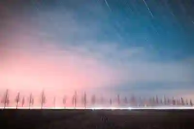 핏빗버사2와 차지3, 차지4의 기능 비교로 알아보는 핏빗 제품 라인업 살펴보기