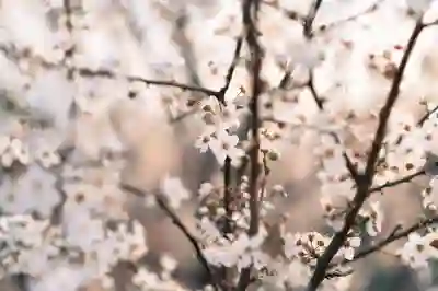 황유민, 챔피언의 마인드셋